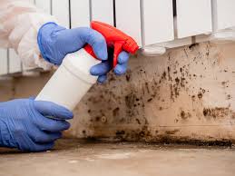 Best Mold Remediation for Vacation Homes  in Hrison, AR